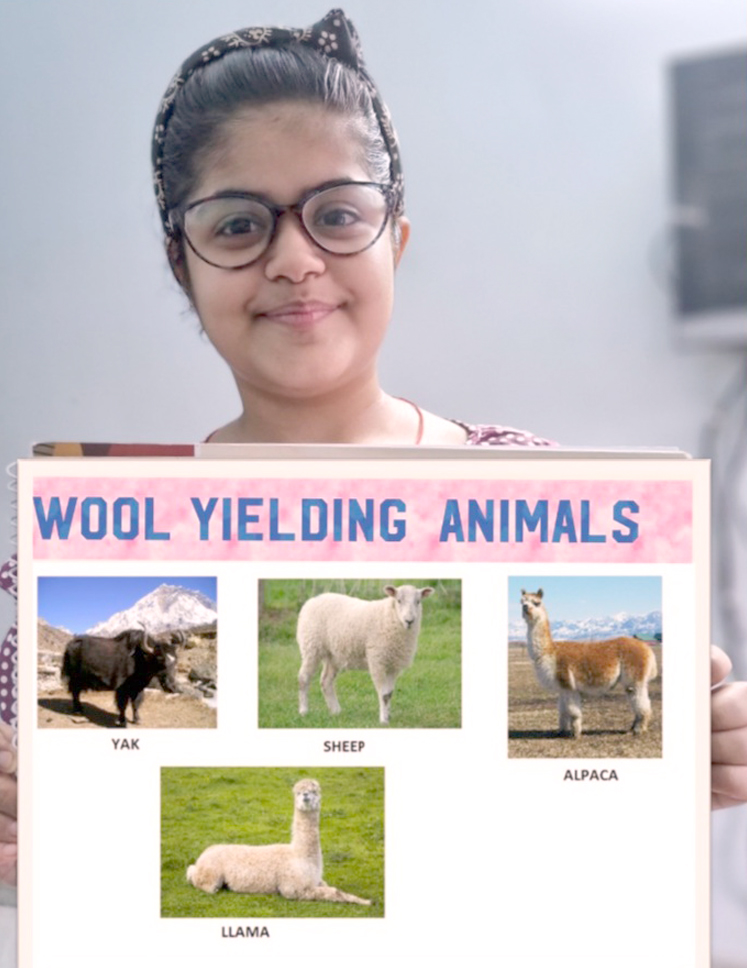 STUDENTS LEARN ABOUT THE PROCESS OF OBTAINING WOOL