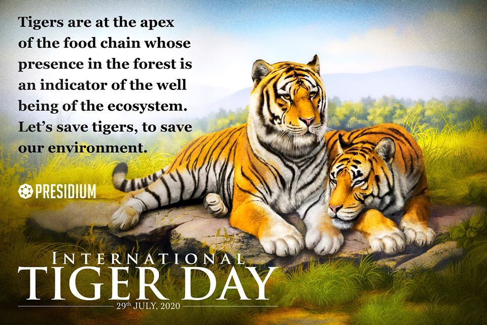 INTERNATIONAL TIGER DAY: SAVE THE ROAR OF THE JUNGLE!