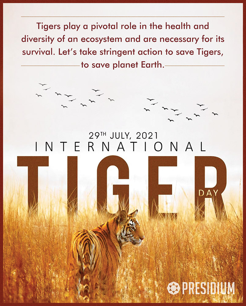 LET’S CREATE A WORLD WHERE TIGERS THRIVE, NOT JUST SURVIVE!