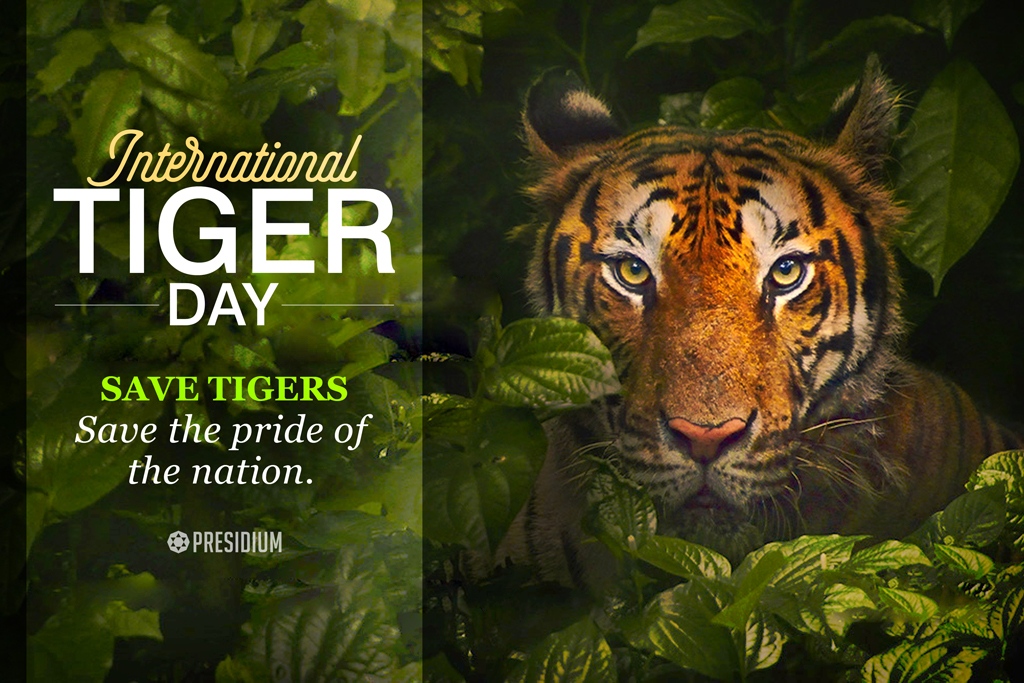 INTERNATIONAL TIGER DAY: SAVE THE STRIPES FROM BEING STRIPED!