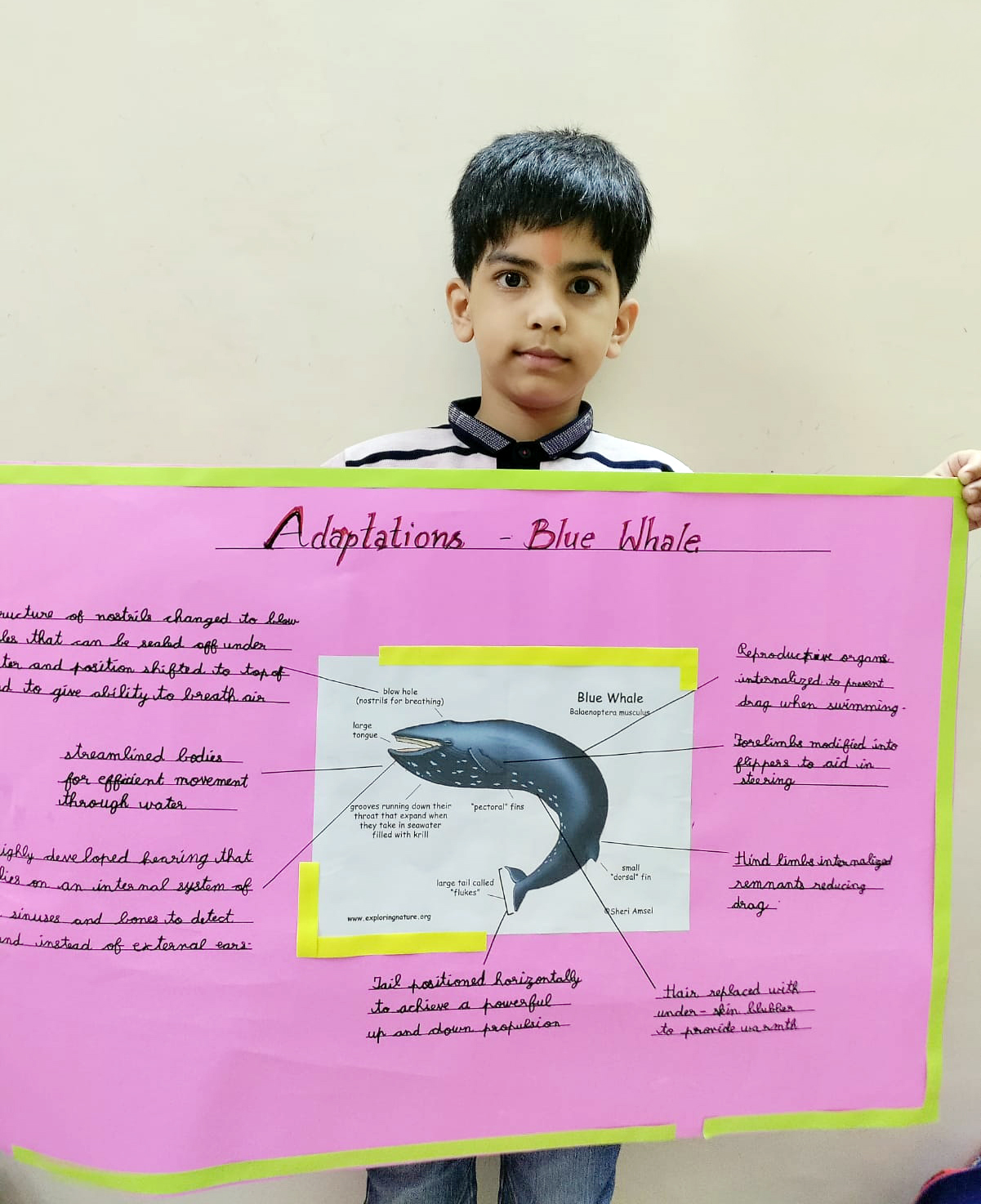 Presidium Dwarka-6, STUDENTS LEARN ABOUT ANIMAL ADAPTATION IN DEPTH