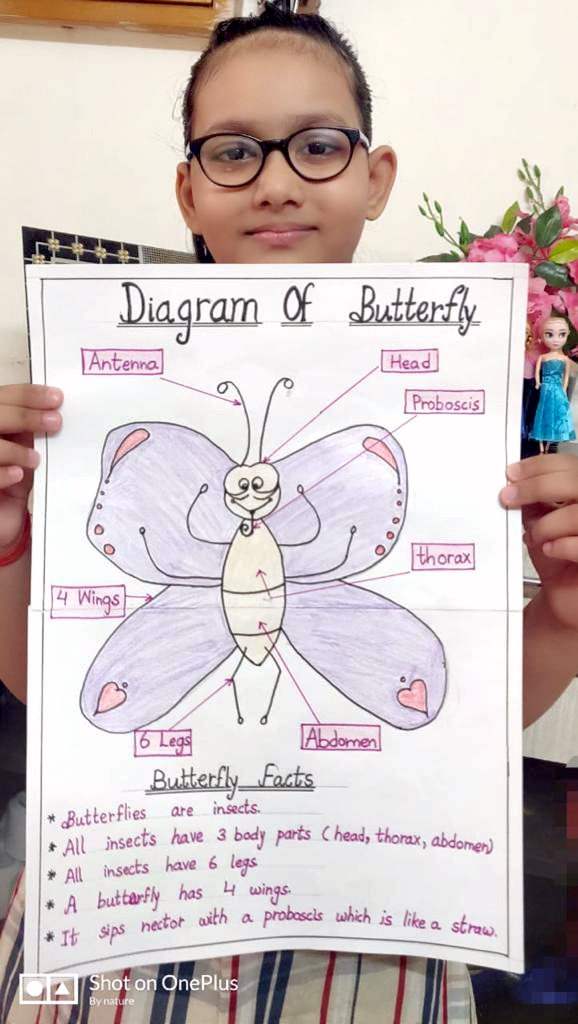 Presidium Dwarka-6, PRESIDIANS LEARN ABOUT THE DIFFERENT TYPES OF INSECTS!