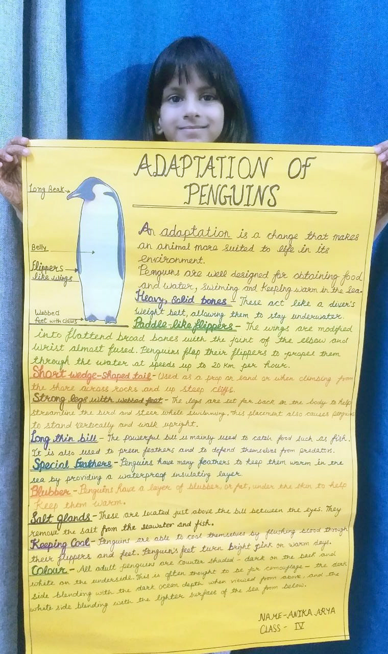 Presidium Dwarka-6, STUDENTS LEARN ABOUT ANIMAL ADAPTATION IN DEPTH