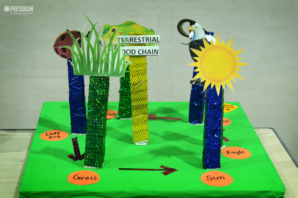 Presidium Rajnagar, PRESIDIANS CELEBRATE SCIENCE WEEK WITH THE THEME ‘FUTURE EARTH’