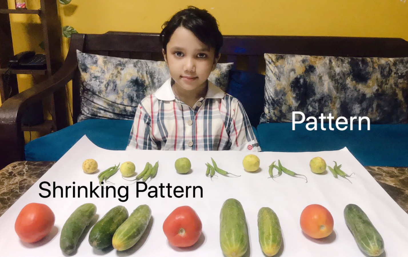 Presidium Dwarka-6, STUDENTS LEARN ABOUT THE DIFFERENT TYPES OF PATTERNS