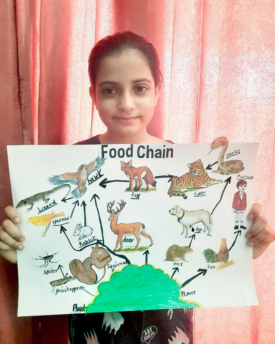 Presidium Punjabi Bagh, PRESIDIANS ENHANCE THEIR KNOWLEDGE ABOUT FOOD CHAIN