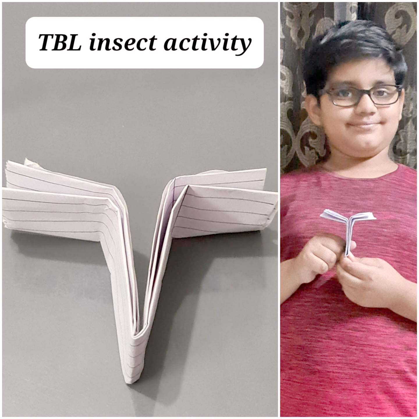 Presidium Pitampura, STUDENTS LEARN ABOUT DIFFERENT INSECTS & THEIR FEATURES