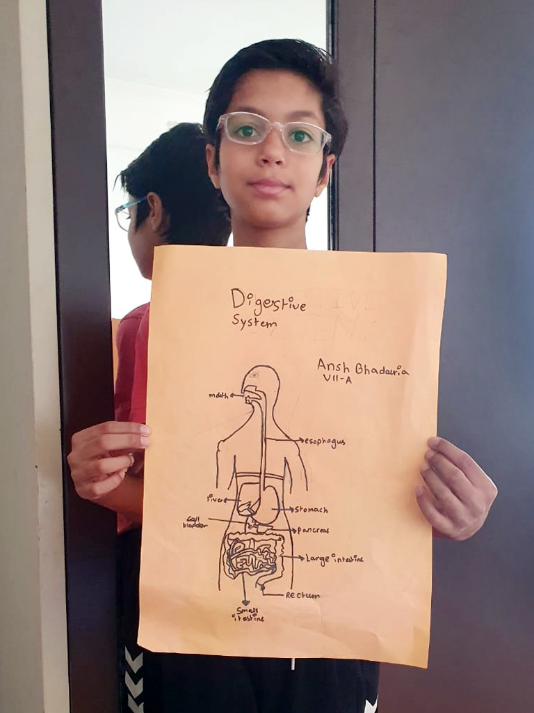 Presidium Indirapuram, STUDENTS LEARN THE INTRICATE DETAILS OF OUR DIGESTIVE SYSTEM!