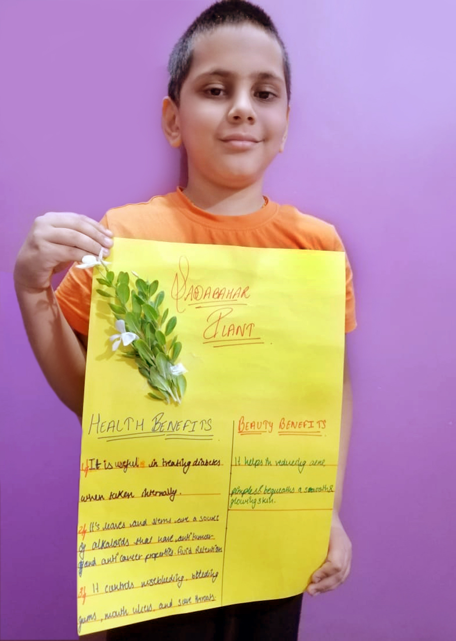 Presidium Dwarka-6, STUDENTS LEARN ABOUT THE MEDICINAL VALUES OF PLANTS 