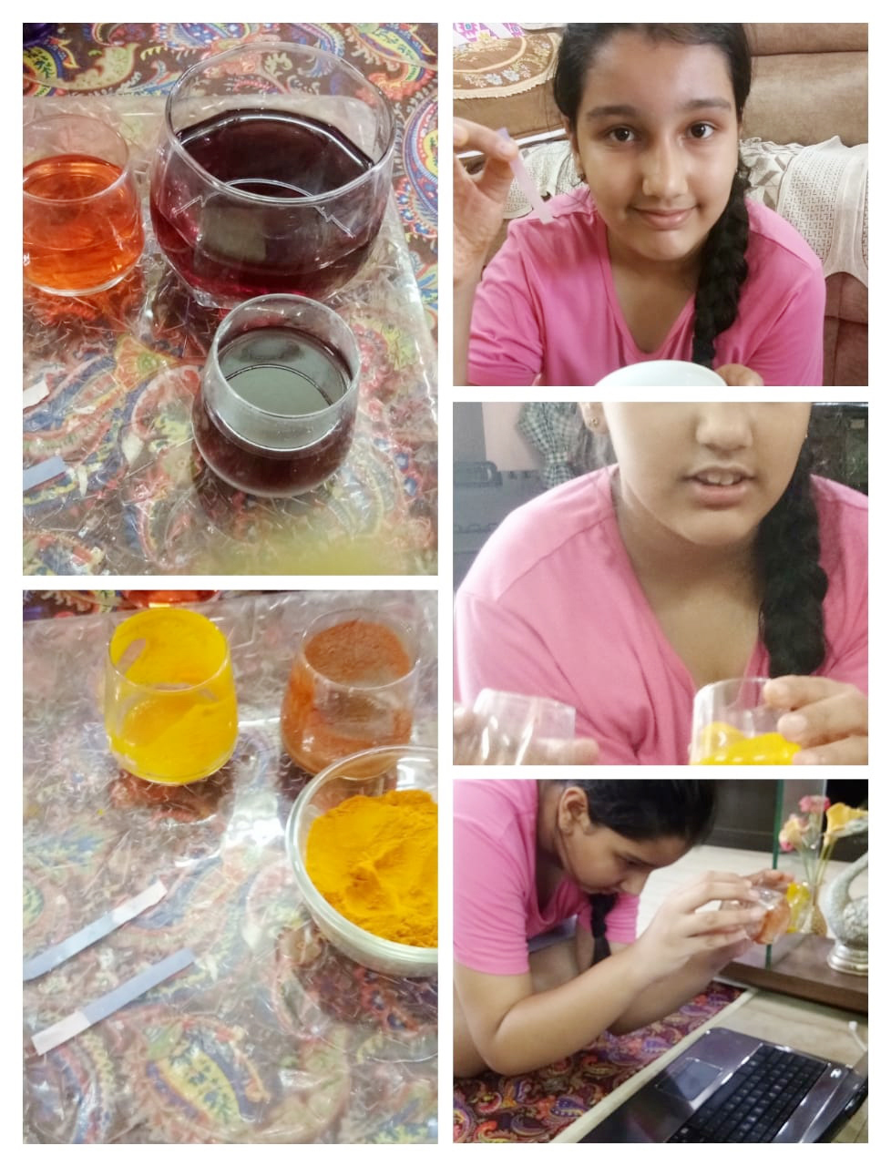 Presidium Indirapuram, STUDENTS PERFORM THE ACID BASE TEST WITH NATURAL INDICATORS