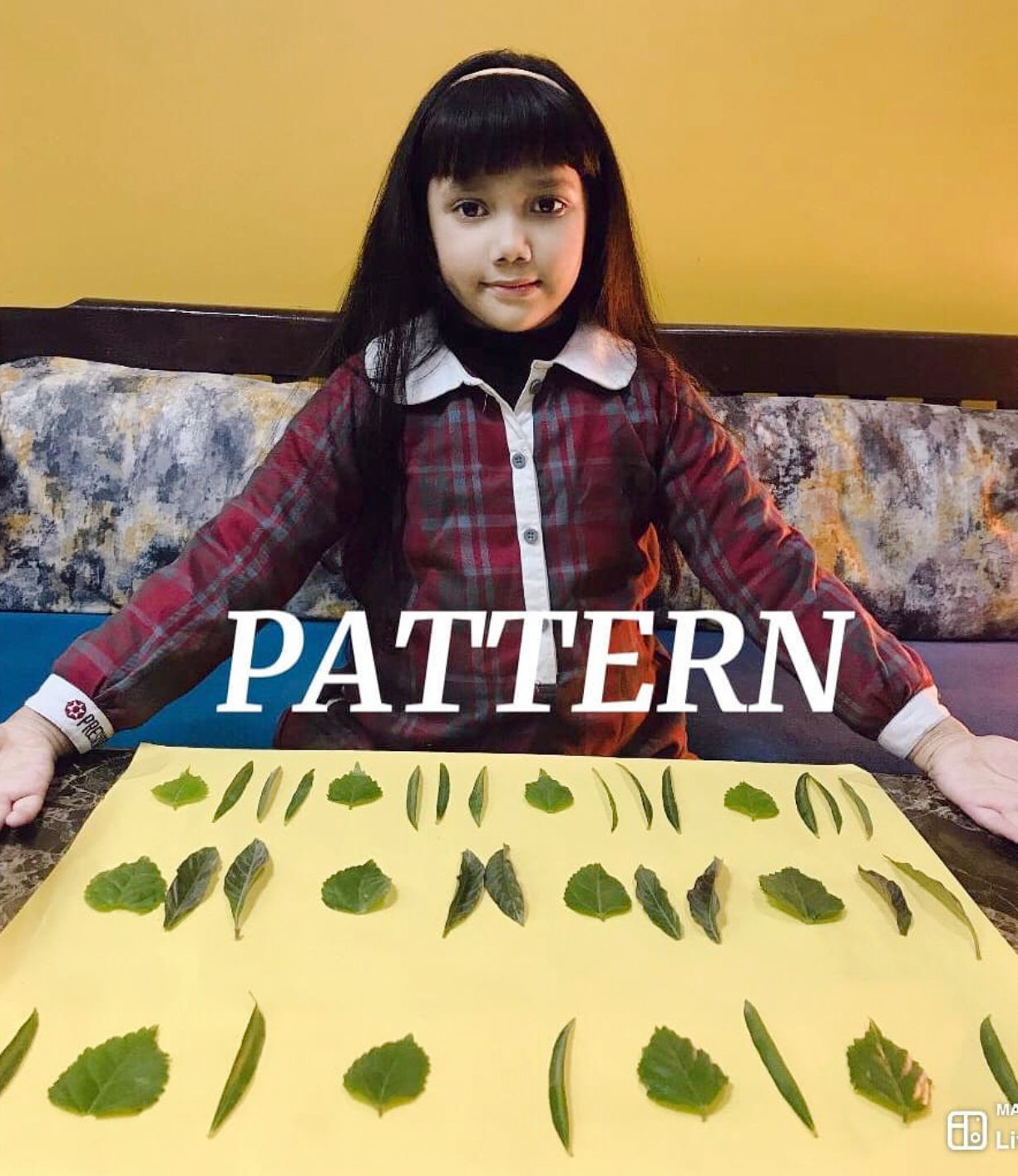 Presidium Dwarka-6, STUDENTS LEARN ABOUT THE DIFFERENT TYPES OF PATTERNS