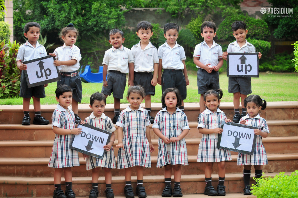 Presidium Dwarka-6, INTRODUCTION OF ‘UP & DOWN’ CONCEPT WITH KINAESTHETIC ACTIVITIES