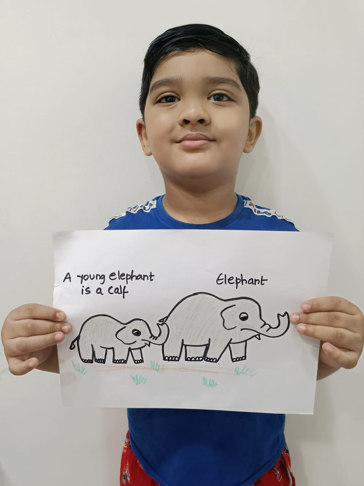 Presidium Dwarka-6, STUDENTS ENHANCE THEIR UNDERSTANDING OF ANIMAL & THEIR YOUNG ONES Presidium Dwarka-6, STUDENTS ENHANCE THEIR UNDERSTANDING OF ANIMAL & THEIR YOUNG ONES