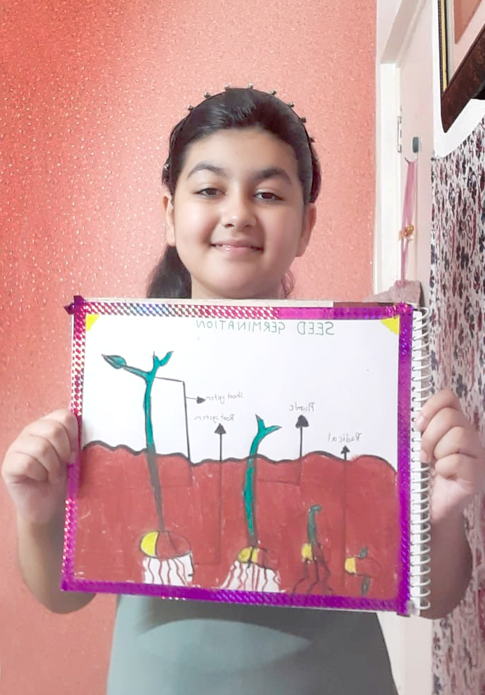 Presidium Punjabi Bagh, STUDENTS LEARN ABOUT THE PROCESS OF GROWTH OF A SEED TO A PLANT Presidium Punjabi Bagh, STUDENTS LEARN ABOUT THE PROCESS OF GROWTH OF A SEED TO A PLANT