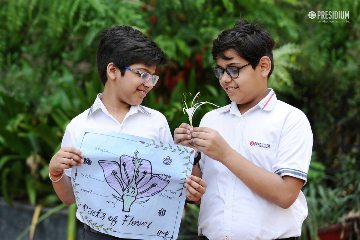 Presidium Pitampura, STUDENTS STUDY THE DIFFERENT PARTS OF PLANTS