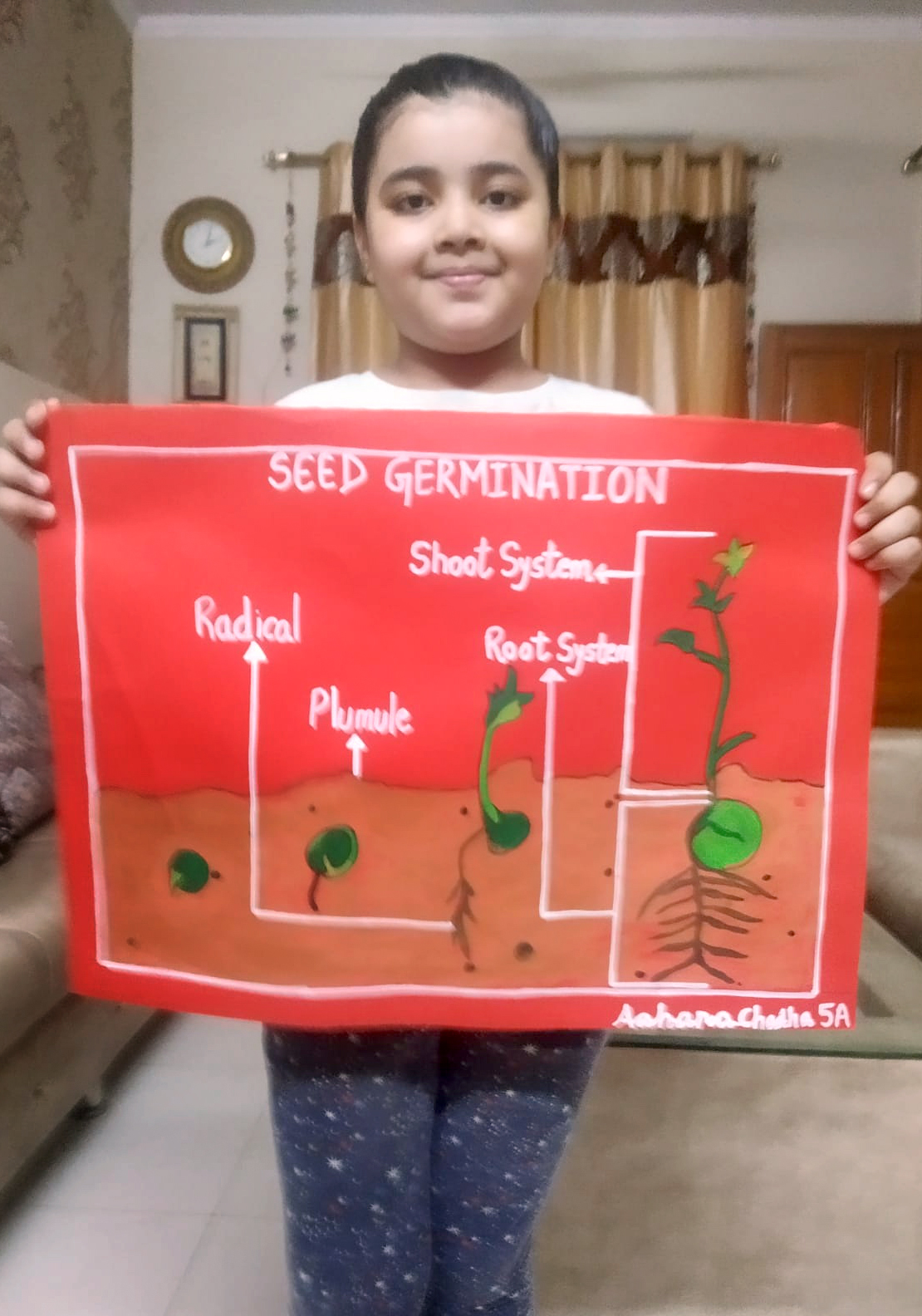 Presidium Punjabi Bagh, STUDENTS LEARN ABOUT THE PROCESS OF GROWTH OF A SEED TO A PLANT Presidium Punjabi Bagh, STUDENTS LEARN ABOUT THE PROCESS OF GROWTH OF A SEED TO A PLANT