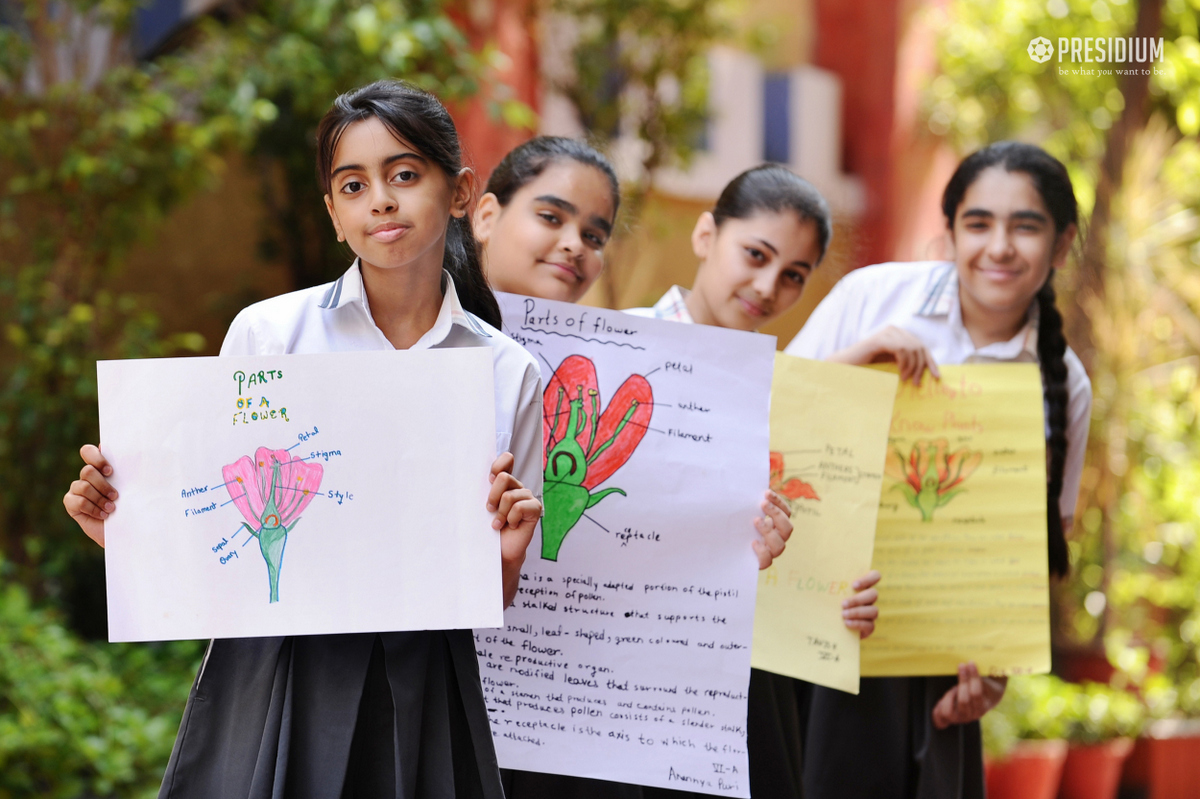 Presidium Pitampura, STUDENTS STUDY THE DIFFERENT PARTS OF PLANTS