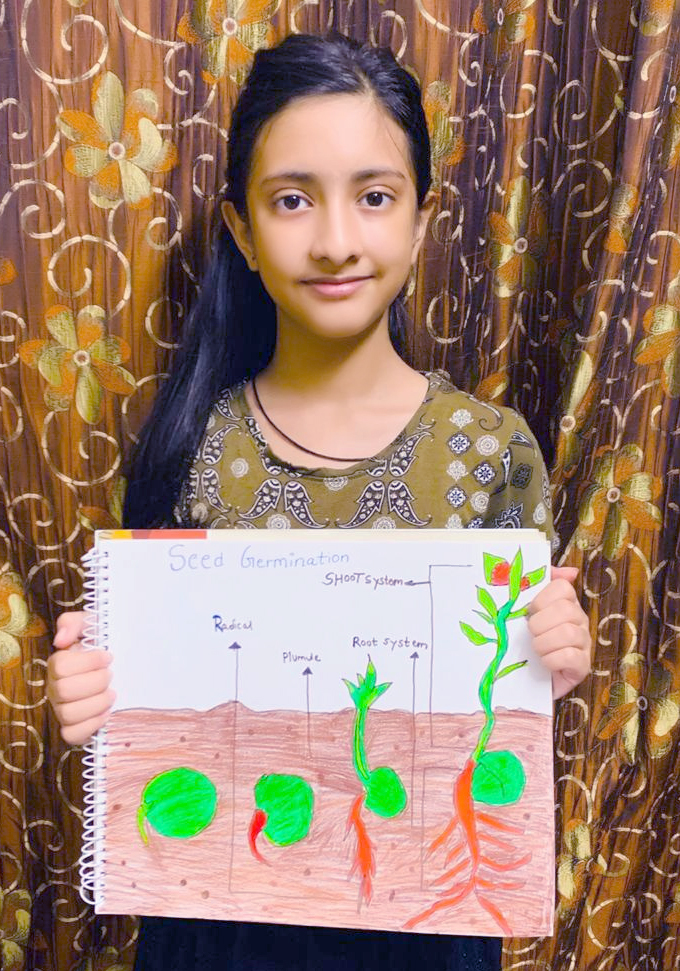 Presidium Punjabi Bagh, STUDENTS LEARN ABOUT THE PROCESS OF GROWTH OF A SEED TO A PLANT Presidium Punjabi Bagh, STUDENTS LEARN ABOUT THE PROCESS OF GROWTH OF A SEED TO A PLANT