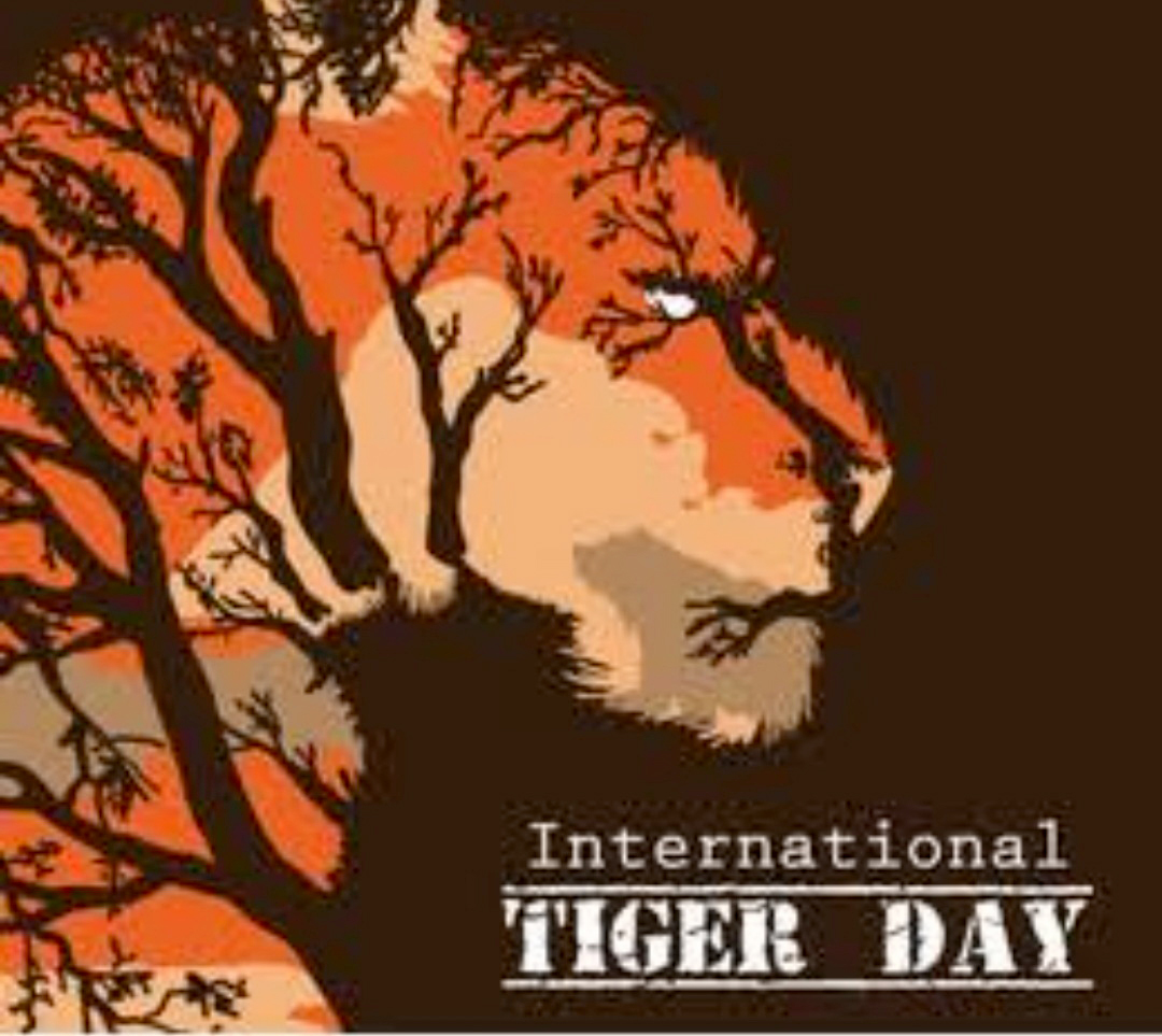 Presidium Vivek Vihar, PRESIDIANS OBSERVE GLOBAL TIGER DAY WITH ZEAL & ZEST!