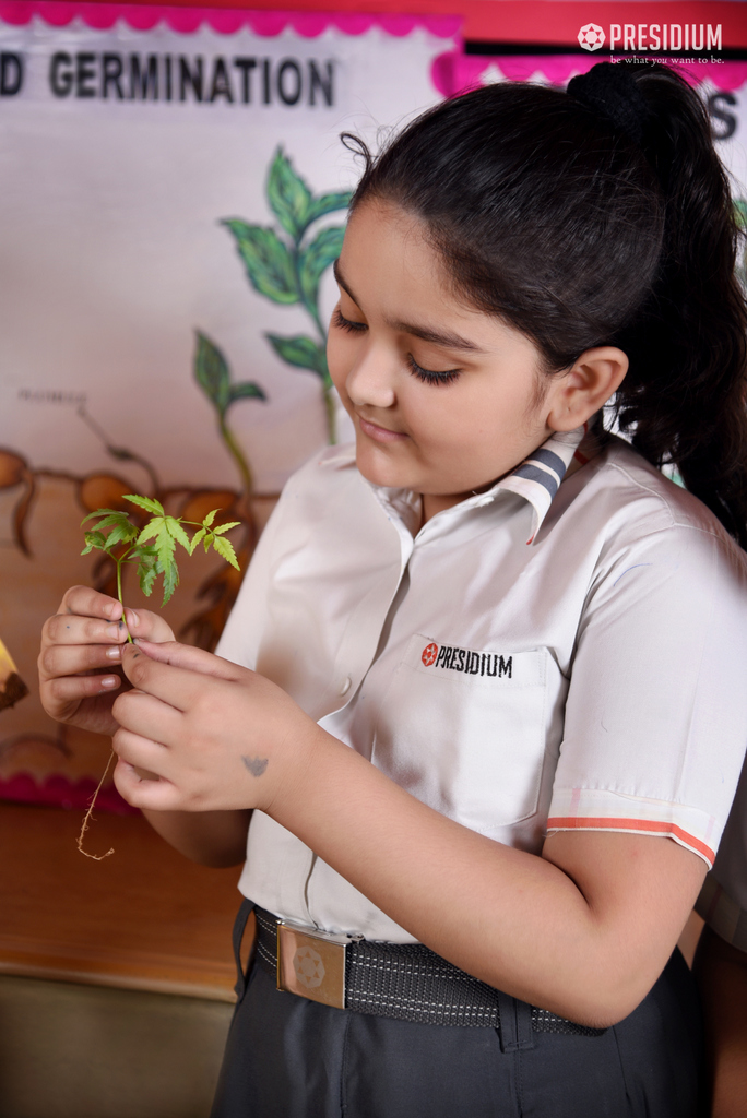 Presidium Punjabi Bagh, STUDENTS LEARN ABOUT GERMINATION AS THEY CULMINATE THEME ‘PLANTS’