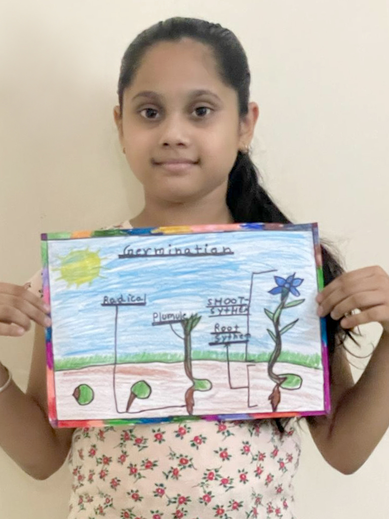 Presidium Punjabi Bagh, STUDENTS LEARN ABOUT THE PROCESS OF GROWTH OF A SEED TO A PLANT Presidium Punjabi Bagh, STUDENTS LEARN ABOUT THE PROCESS OF GROWTH OF A SEED TO A PLANT