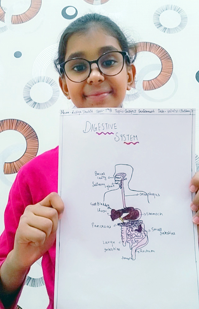 Presidium Indirapuram, STUDENTS LEARN THE INTRICATE DETAILS OF OUR DIGESTIVE SYSTEM!