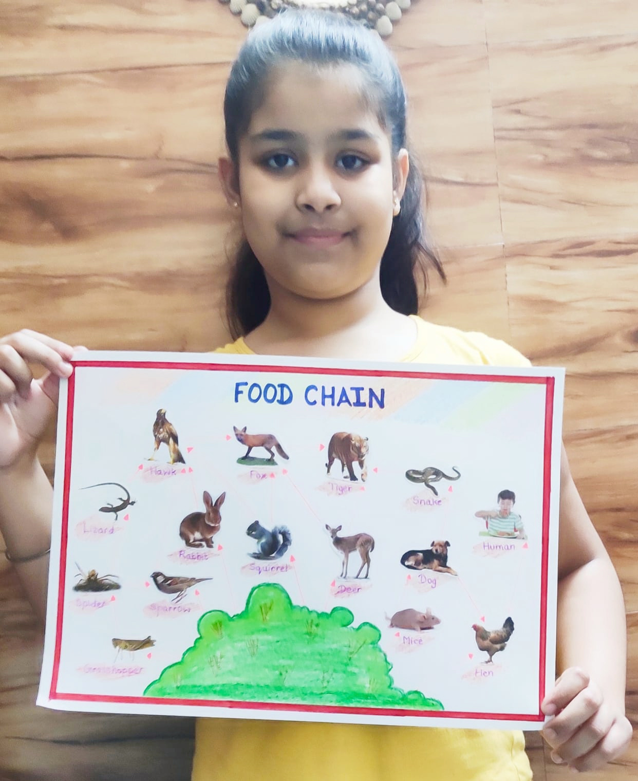 Presidium Punjabi Bagh, PRESIDIANS ENHANCE THEIR KNOWLEDGE ABOUT FOOD CHAIN Presidium Punjabi Bagh, PRESIDIANS ENHANCE THEIR KNOWLEDGE ABOUT FOOD CHAIN